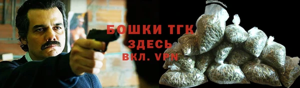 мдпв Новодвинск