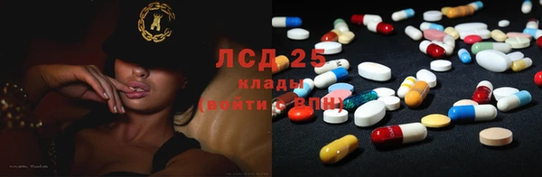 хмурый Новозыбков