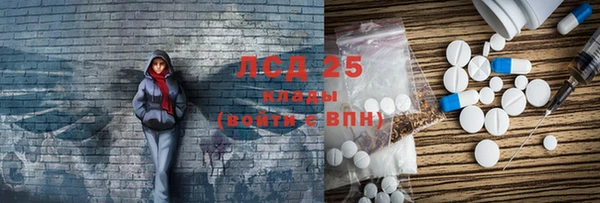 хмурый Новозыбков