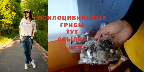 хмурый Нягань