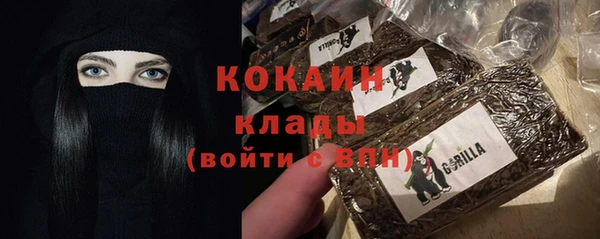 мдпв Новодвинск