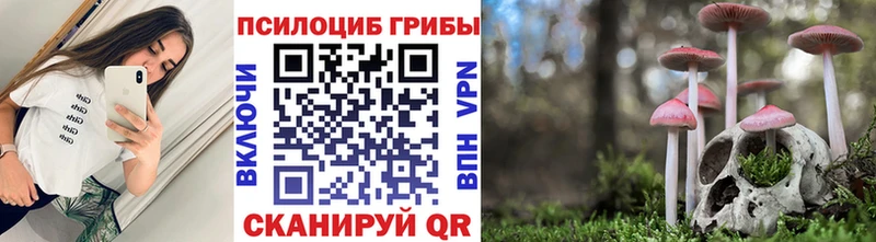 купить  цена  Сорск  Галлюциногенные грибы мухоморы 